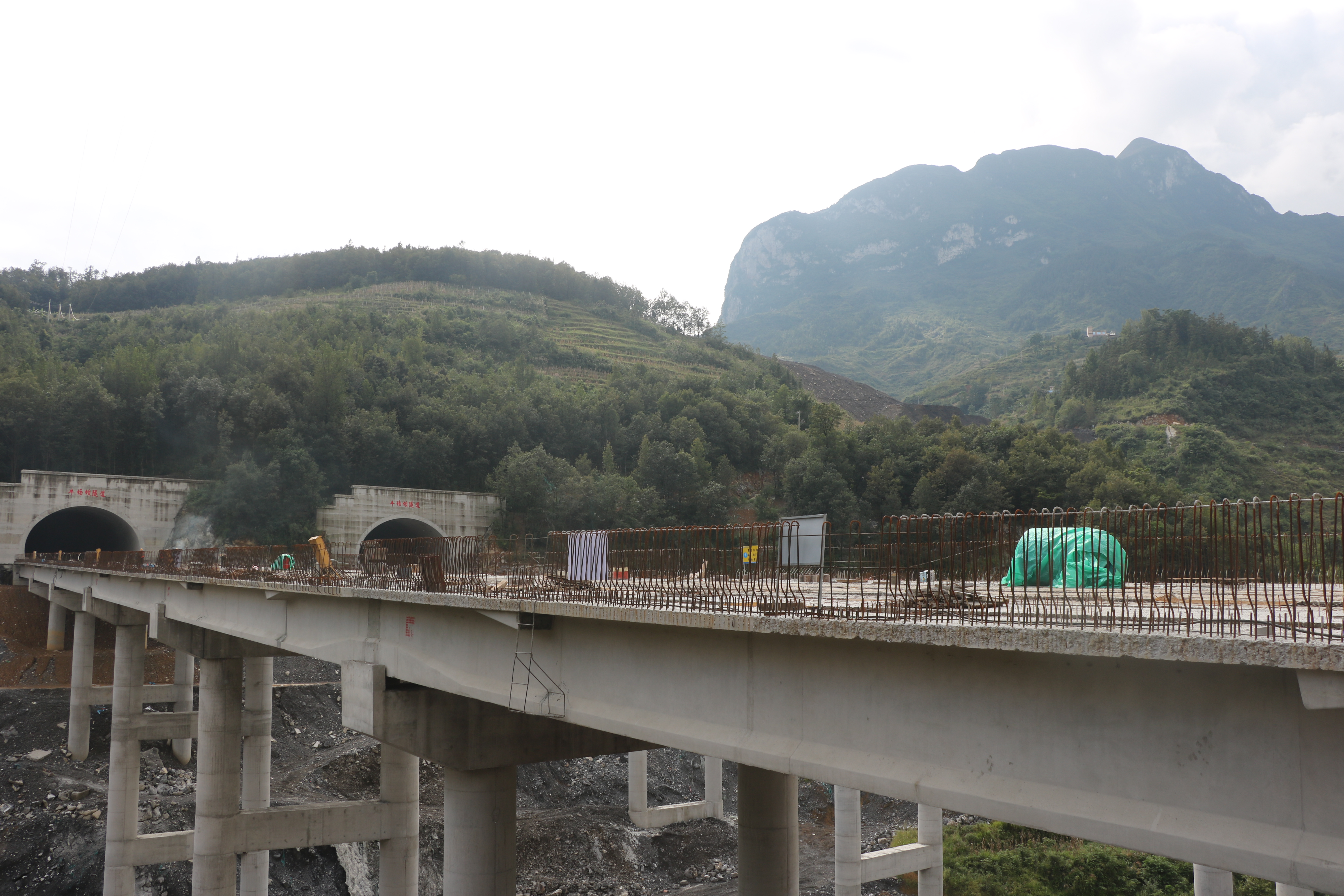 田壩河大橋左幅T梁架設(shè)完成.JPG